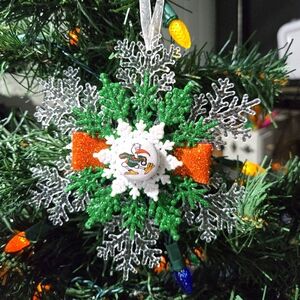 NWT University of Miami Ornament Hurricanes NCAA College Alumni Souvenir OOAK